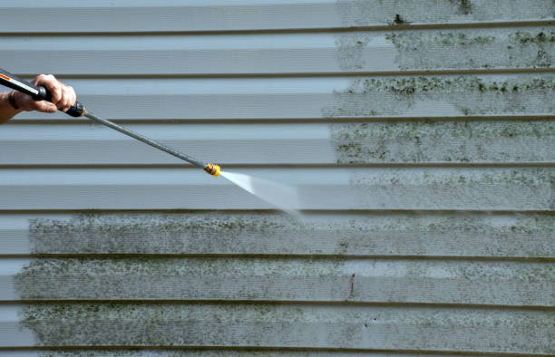 Best Window and Screen Pressure Cleaning in Oakmont, PA