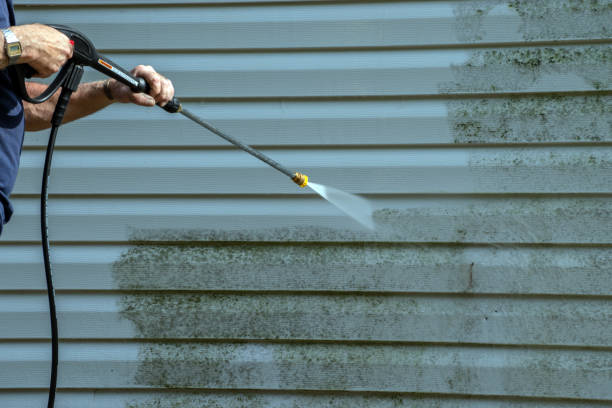 Best Soft Washing for Delicate Surfaces in Oakmont, PA
